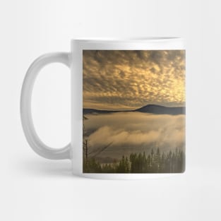 850_2889 Mug